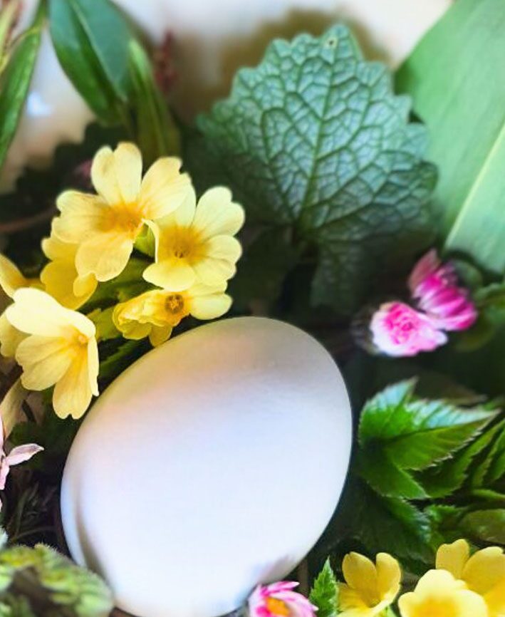 Weißes Ei zwischen hellgelben Blüten, kleinen rosa Blütenköpfchen und grünen Blättern