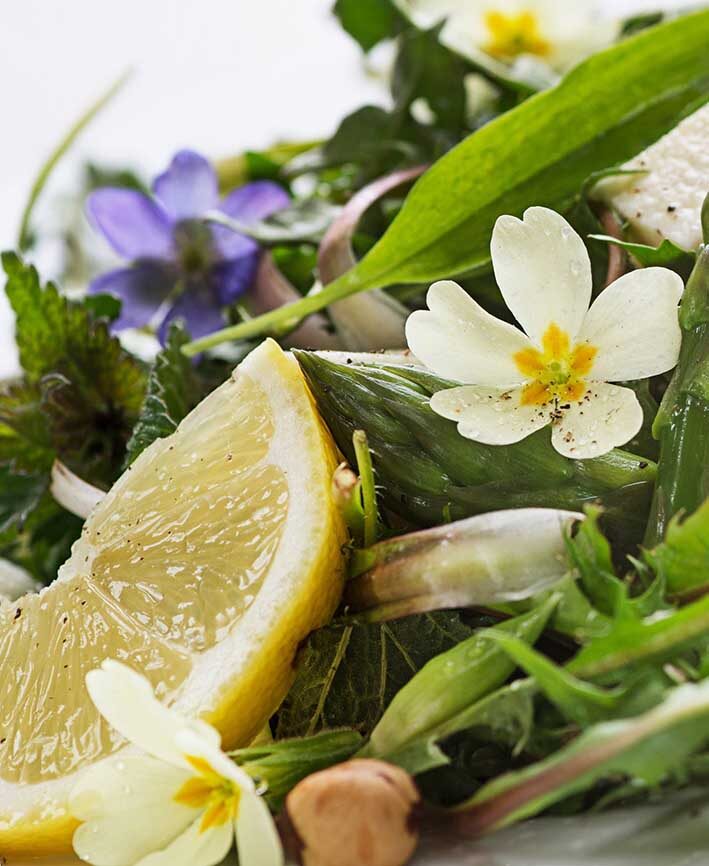 Frühlingssalat aus Wildkräutern mit Veilchen- und Primelblüten, Zitronenspalte und braunen Nüssen