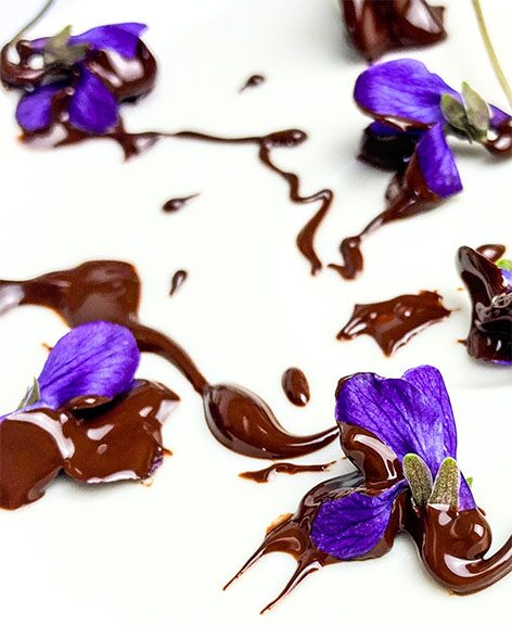 Violette Blüten mit dunkler Schokolade übergossen auf weißem Grund