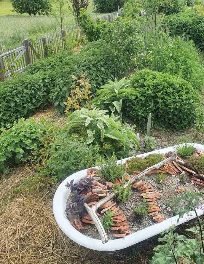 Alte weiße Badewanne als Beet mit Kies, Ziegelstücken und Kräutern, dahinter Gartenbeete und Holzzaun