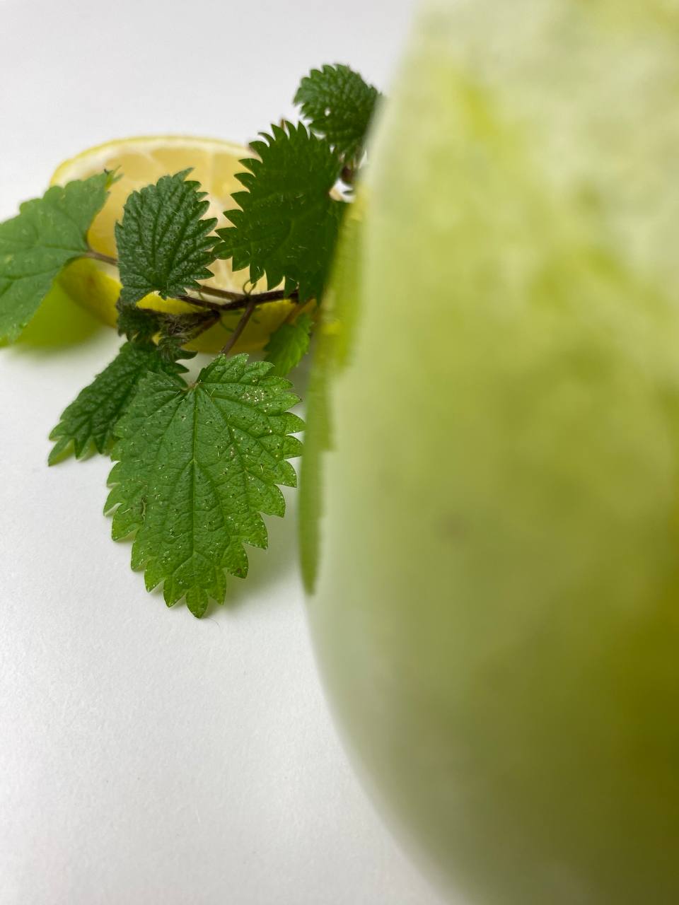 Grüne Blätter und eine Zitronenscheibe neben einem Glas mit hellgrünem Brennnessel-Smoothie