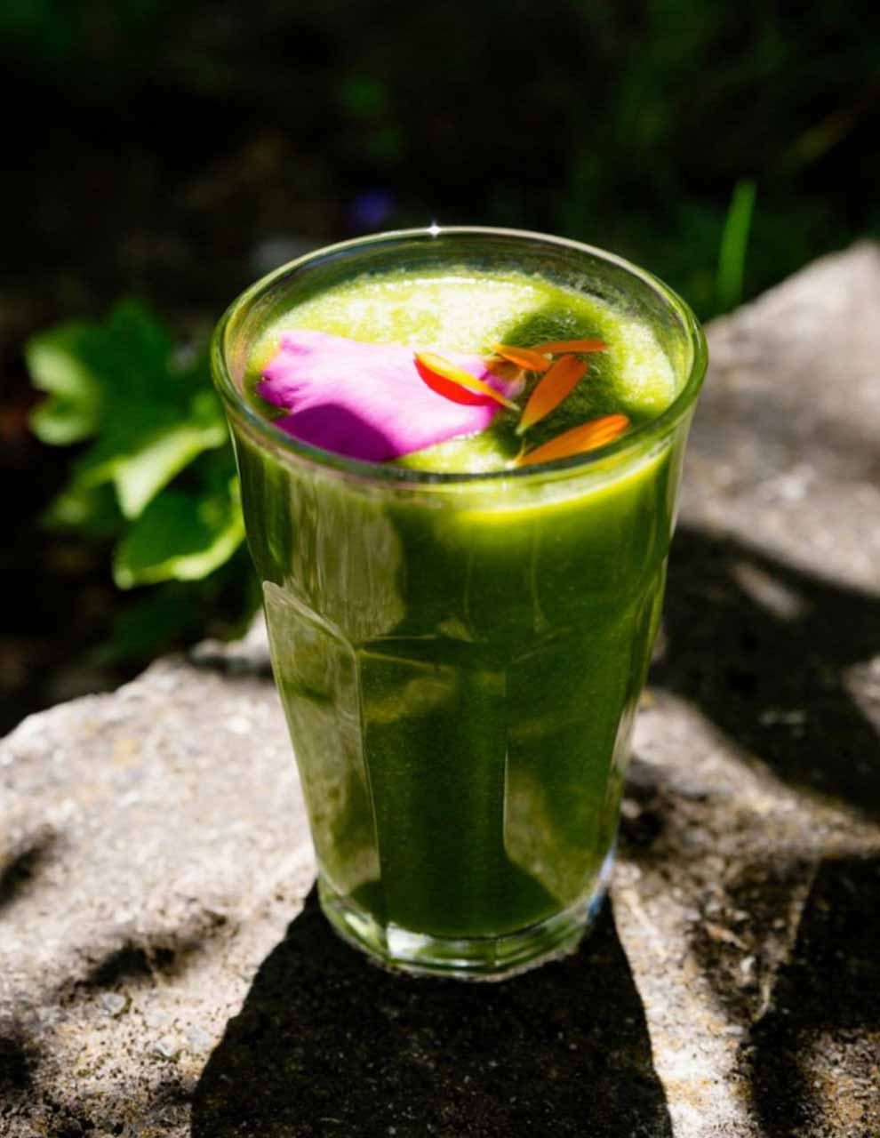 Dunkelgrüner Smoothie im Glas auf einem Stein, garniert mit rosa und orangen Blütenblättern