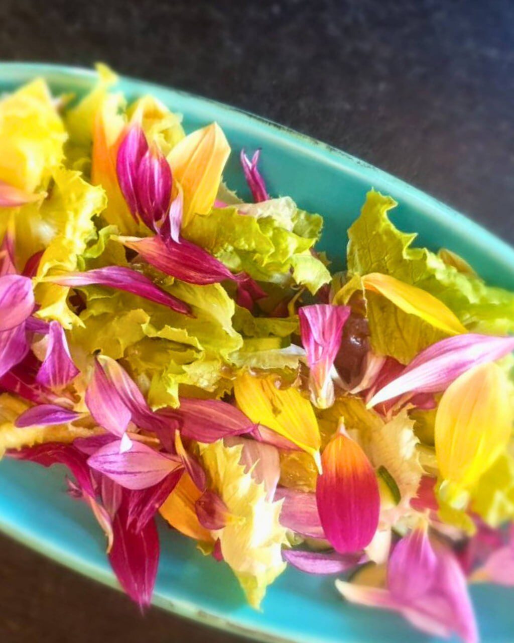 Salat mit Dahlienblüten: helle Salatblätter mit pinken und gelben Blütenblättern in türkiser Schale