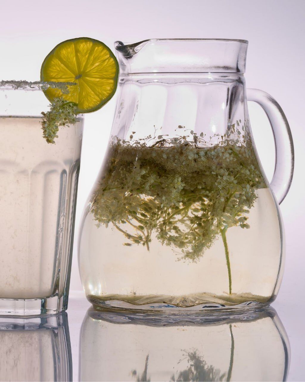 Glaskaraffe mit Wasser und darin schwimmender weißer Blütendolde, daneben ein Glas mit Limettenscheibe