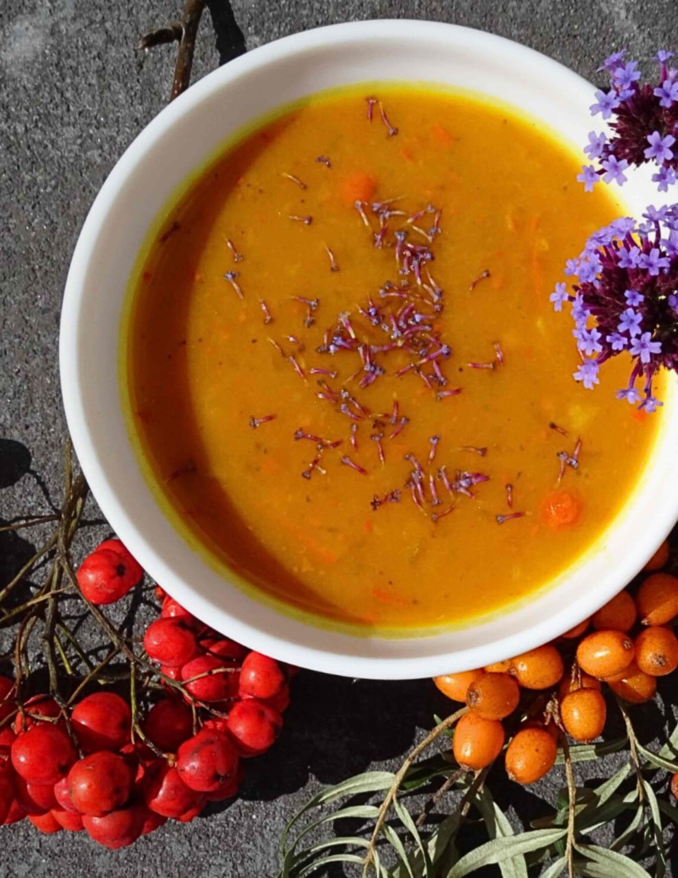Ebereschensuppe in einer weißen Schale, daneben Ebereschen- und Sanddornbeeren