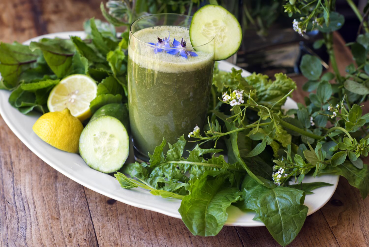 Grüner Smoothie im Glas mit Gurkenscheibe und blauen Blüten, auf einem Teller mit Wildkräutern und Zitrone
