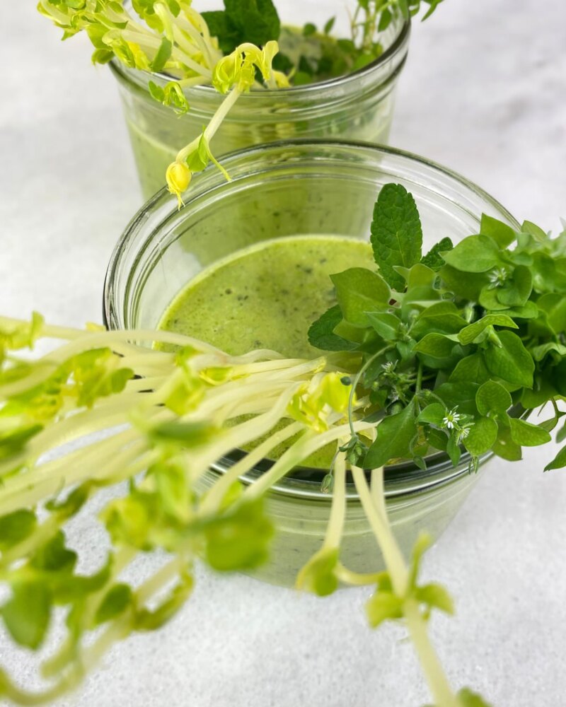Zwei Gläser grüner Smoothie, garniert mit Sprossen, Minze und Vogelmiere