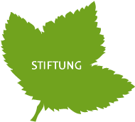STIFTUNG