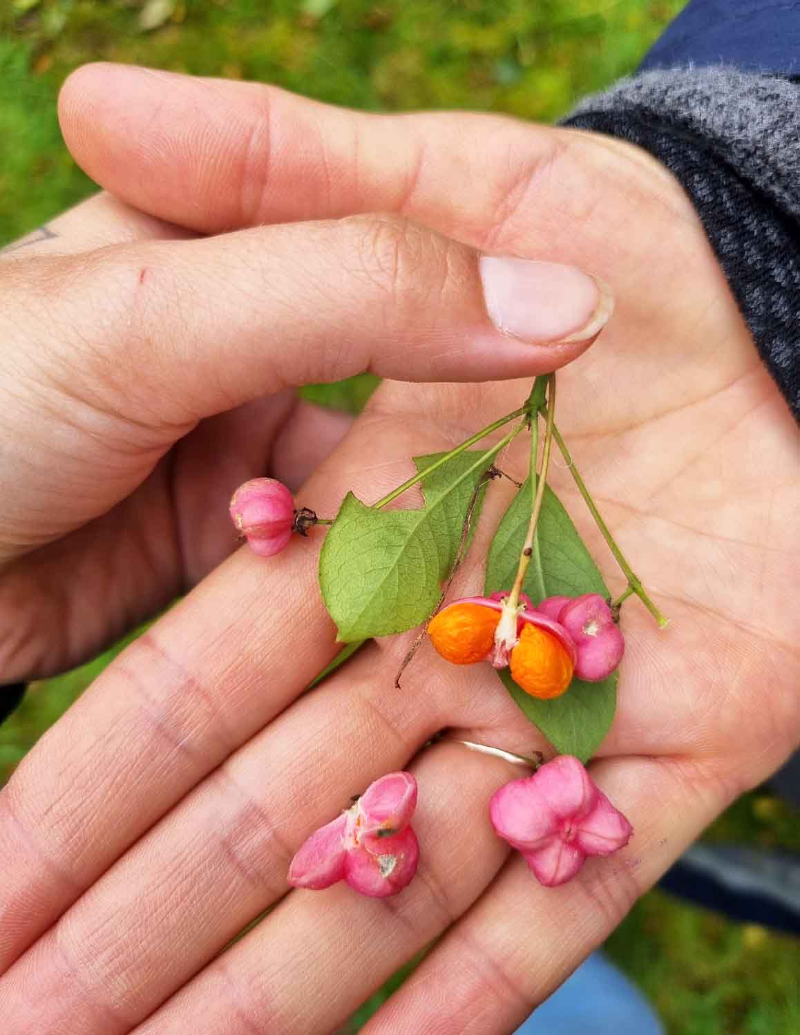 20250919_111536 Kopie