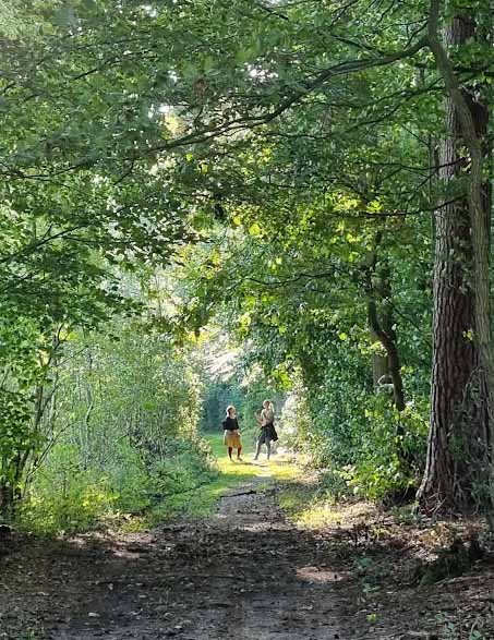 20250919_171007 Kopie