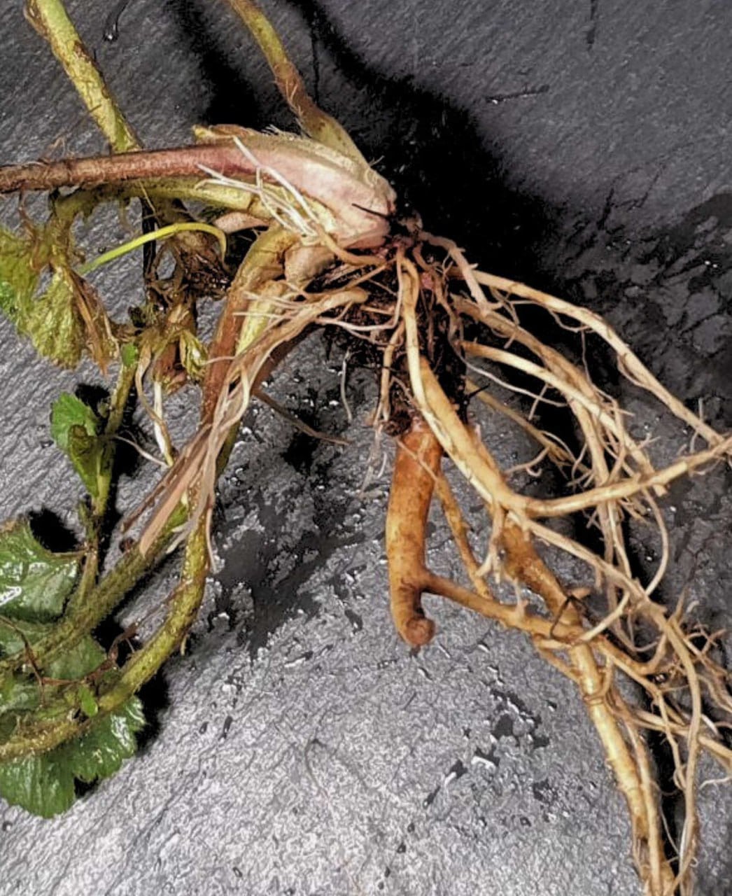 photo_2025-10-28_10-24-36-min