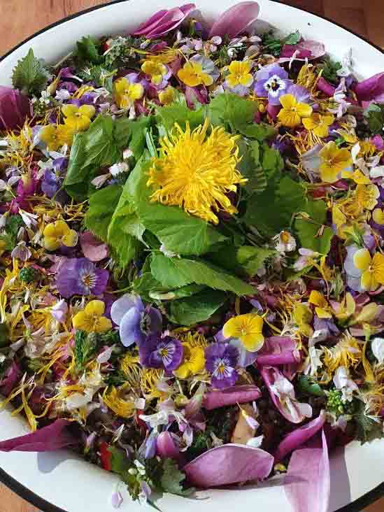 photo_2025-12-03_16-07-13 Kopie