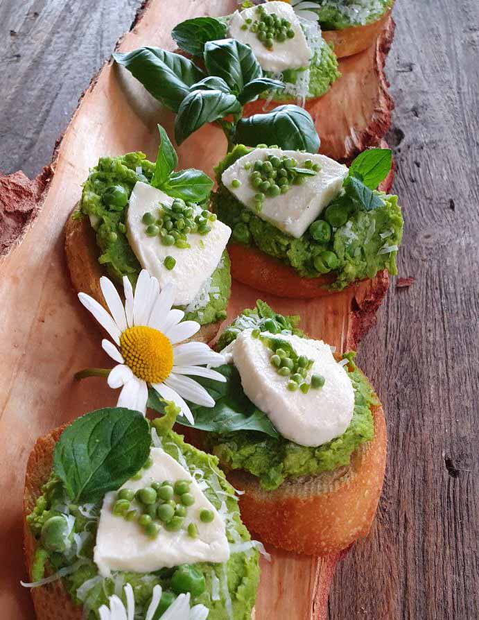 photo_2026-01-29_12-52-14 Kopie